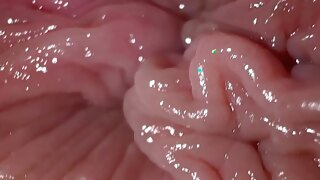 amateur Close up ass fingering and dirty talk, anal masturbation orgasm brunette anal